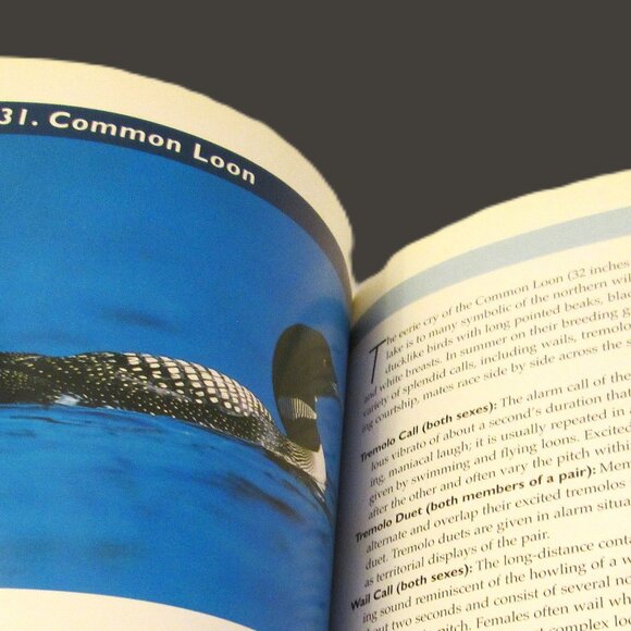 NWOT Know Your Bird Sounds Book Volume 2  Lang Elliott Audio CD Vol 2 - Picture 5 of 14